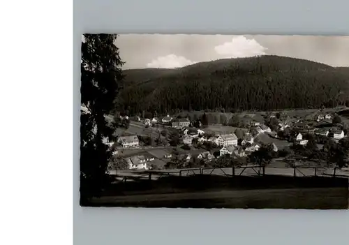 Enzkloesterle  / Enzkloesterle /Calw LKR