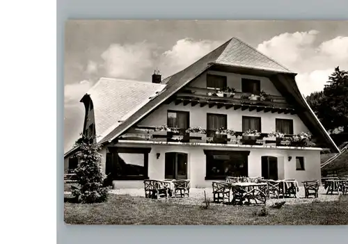 Feldberg Schwarzwald Hotel Ponyhof / Feldberg (Schwarzwald) /Breisgau-Hochschwarzwald LKR