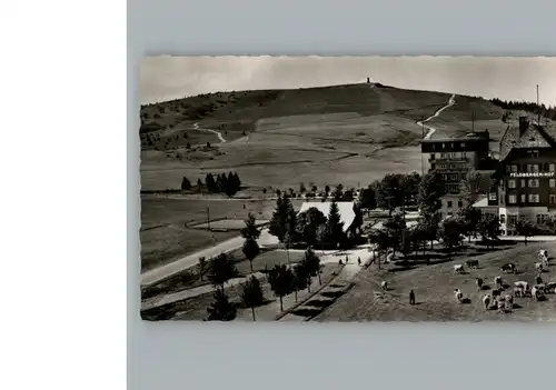 Feldberg Schwarzwald Hotel Feldberger Hof / Feldberg (Schwarzwald) /Breisgau-Hochschwarzwald LKR