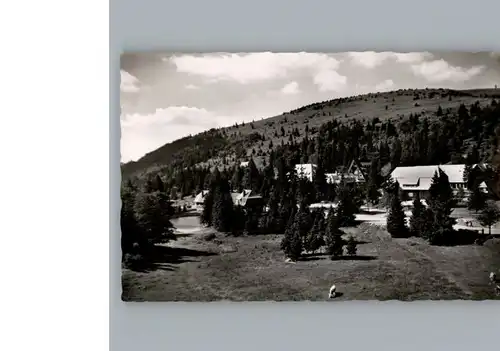 Feldberg Schwarzwald  / Feldberg (Schwarzwald) /Breisgau-Hochschwarzwald LKR