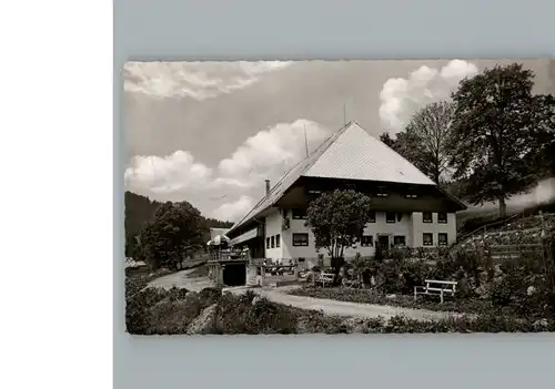 Hinterzarten Gasthaus, Pension Heizmannshof Schwarzwaldstueble / Hinterzarten /Breisgau-Hochschwarzwald LKR