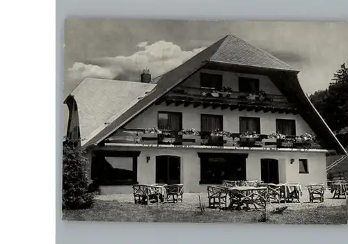 Feldberg Schwarzwald Hotel Ponyhof / Feldberg (Schwarzwald) /Breisgau-Hochschwarzwald LKR