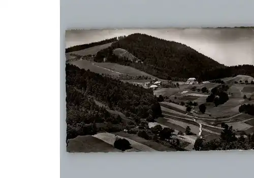 Badenweiler Fliegeraufnahme Haldenhof / Badenweiler /Breisgau-Hochschwarzwald LKR