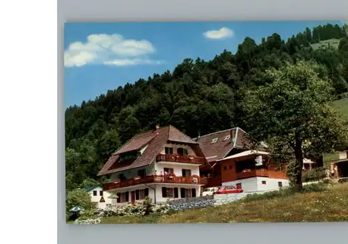 Todtmoos Gasthaus, Pension zum Wildbach / Todtmoos /Waldshut LKR