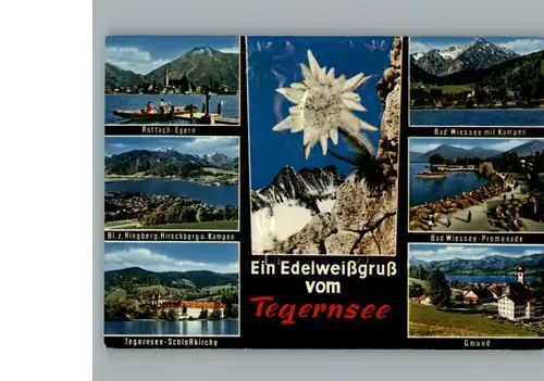 Tegernsee  / Tegernsee /Miesbach LKR