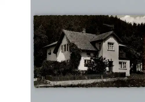 Bodenmais Haus Heinrich / Bodenmais /Regen LKR