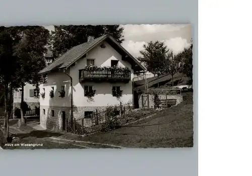 Bodenmais Haus am Wiesengrund / Bodenmais /Regen LKR