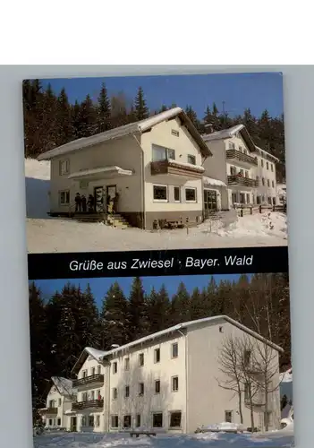 Zwiesel Niederbayern Winter-Karte / Zwiesel /Regen LKR