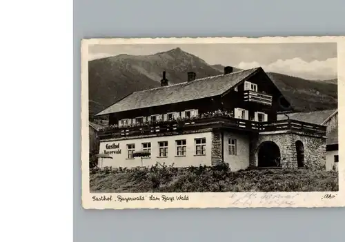 Lam Oberpfalz Gasthof Bayerwald / Lam /Cham LKR