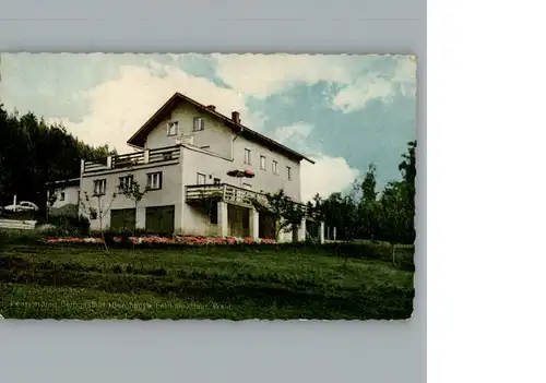 Lam Oberpfalz Pension und Berggasthof Berghaeusl  / Lam /Cham LKR