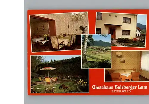 Lam Oberpfalz Gaestehaus Salzberger  / Lam /Cham LKR