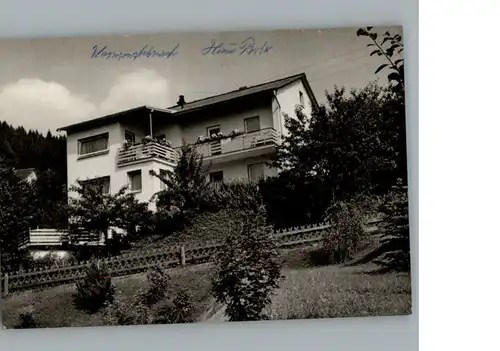 Warmensteinach Pension Haus Brix / Warmensteinach Fichtelgebirge /Bayreuth LKR