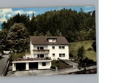 Warmensteinach Pension Haus Heinl / Warmensteinach Fichtelgebirge /Bayreuth LKR