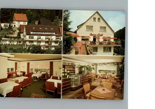 Altenau Harz Hotel - Pension Bergquell / Altenau /Goslar LKR
