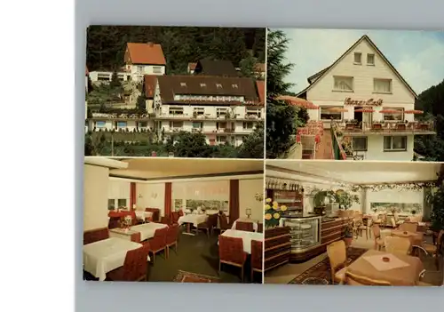 Altenau Harz Hotel - Pension Bergquell / Altenau /Goslar LKR