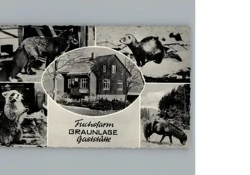 Braunlage Gaststaette Fuchsfarm / Braunlage Harz /Goslar LKR