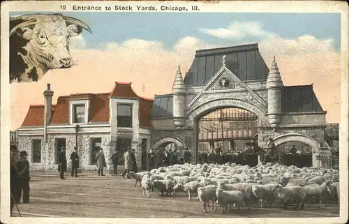 kk12757 Chicago Illinois Entrance to Stock Yards sheeps Kategorie. Chicago Alte Ansichtskarten