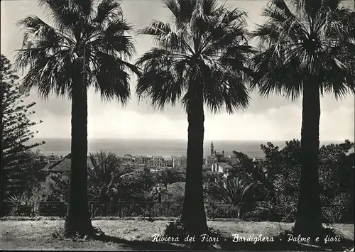 Bordighera Riviera dei Fiori Palme Kat. Bordighera