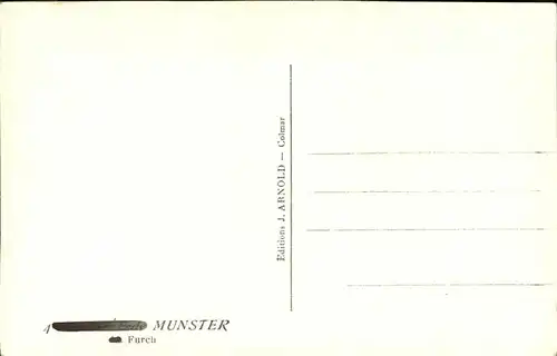 Munster Haut Rhin Elsass Furch Waldpartie Kat. Munster