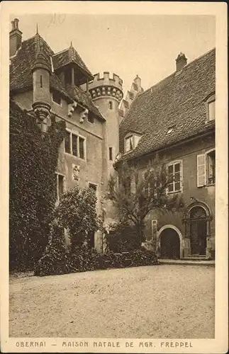 Obernai Bas Rhin Maison natale de Monseigneur Freppel Kat. Obernai