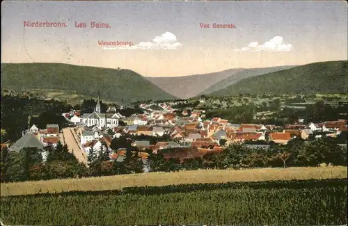 Niederbronn les Bains Vue generale avec chateau Wasembourg Kat. Niederbronn les Bains