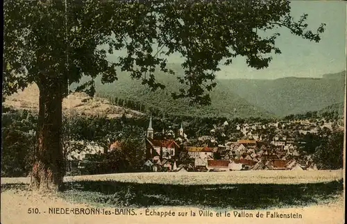 Niederbronn les Bains Echappee sur la ville et le Vallon de Falkenstein Kat. Niederbronn les Bains