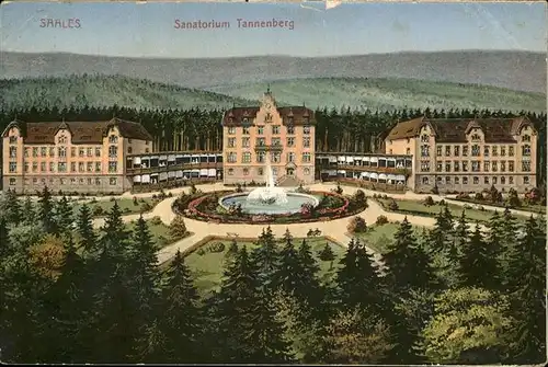 Saales Sanatorium Tannenberg Fontaine Kat. Saales