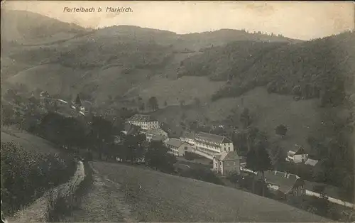 Fortelbach Vue generale Kat. Sainte Marie aux Mines