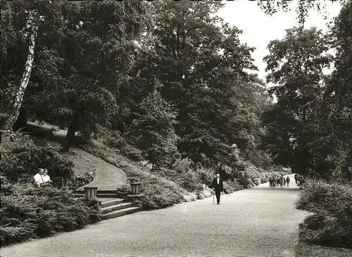 Bad Nauheim Parkweg zum Teichhaus Kat. Bad Nauheim