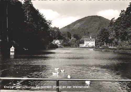 Bad Bergzabern Kneipp Luftkurort See Kat. Bad Bergzabern