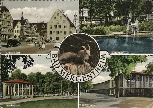 Bad Mergentheim Wandelhalle Kurkonzert Marktplatz Kat. Bad Mergentheim