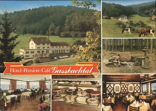 Grasellenbach Hotel Pension Gassbachtal Kat. Grasellenbach