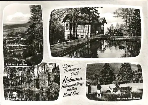 Bad Ems Hofmann Hohenmalhbergstation Tierpark Mahlberg Schwanenteich Kat. Bad Ems
