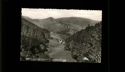 pw20088 Hermannsdenkmal Lippische Schweiz Hermannsdenkmal Kategorie. Detmold Alte Ansichtskarten