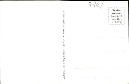 Todtmoos Geschnitzter Wegweiser Kat. Todtmoos