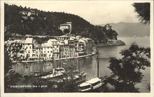 Portofino Liguria Fra i pini Hafen Segelboot