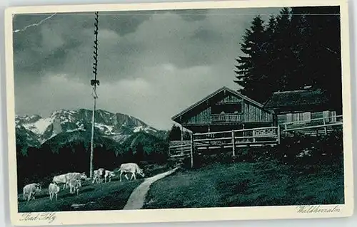 Bad Toelz Bad Toelz Waldherralm ungelaufen ca. 1920 / Bad Toelz /Bad Toelz-Wolfratshausen LKR