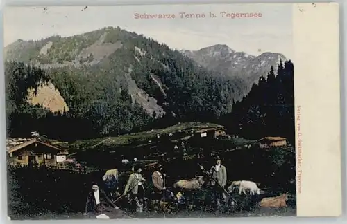 Tegernsee Schwarze Tenne x 1908