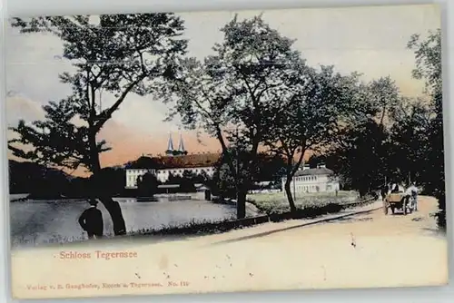 Tegernsee Schloss x 1910