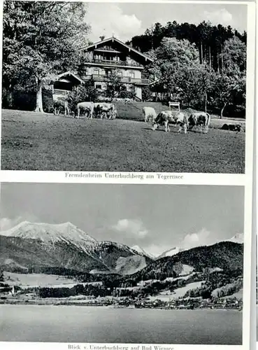 Tegernsee Tegernsee Fremdenheim Unterbuchberg Bad Wiessee ungelaufen ca. 1965 / Tegernsee /Miesbach LKR