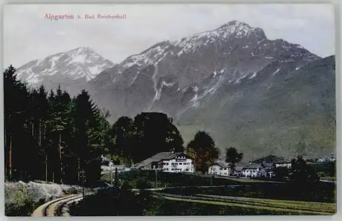 Bad Reichenhall Bad Reichenhall Alpgarten ungelaufen ca. 1910 / Bad Reichenhall /Berchtesgadener Land LKR