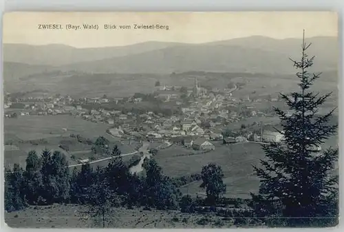 Zwiesel Niederbayern Zwiesel  ungelaufen ca. 1910 / Zwiesel /Regen LKR