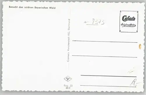 Bodenmais Bodenmais Riesloch Scherau ungelaufen ca. 1955 / Bodenmais /Regen LKR