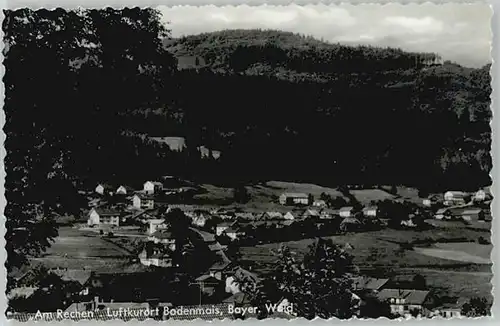 Bodenmais Bodenmais Rechen ungelaufen ca. 1955 / Bodenmais /Regen LKR