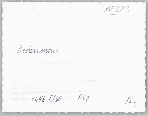 wd85649 Bodenmais Bodenmais Fliegeraufnahme Kategorie. Bodenmais Alte Ansichtskarten