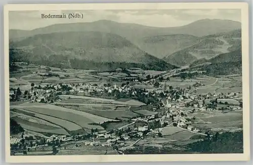 Bodenmais Bodenmais  ungelaufen ca. 1920 / Bodenmais /Regen LKR