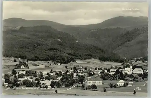 Bodenmais Bodenmais  ungelaufen ca. 1955 / Bodenmais /Regen LKR