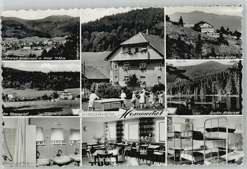 Bodenmais Bodenmais Kinderheim Hammerhof ungelaufen ca. 1955 / Bodenmais /Regen LKR