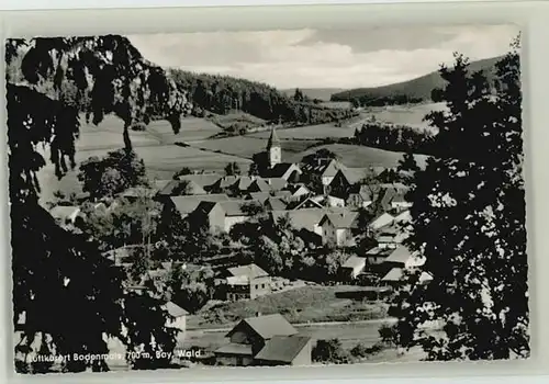 Bodenmais Bodenmais  ungelaufen ca. 1955 / Bodenmais /Regen LKR