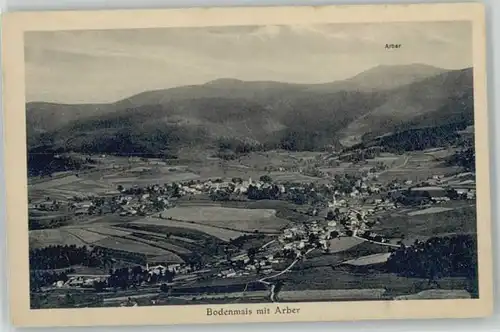 Bodenmais Bodenmais  ungelaufen ca. 1920 / Bodenmais /Regen LKR